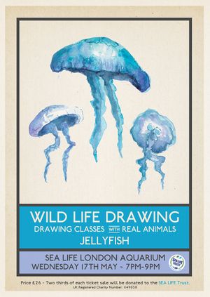Wild Life Drawing: Jellyfish