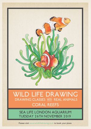 Wild Life Drawing: Coral Reefs