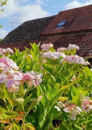 Manor Farm Staunton Caundle 