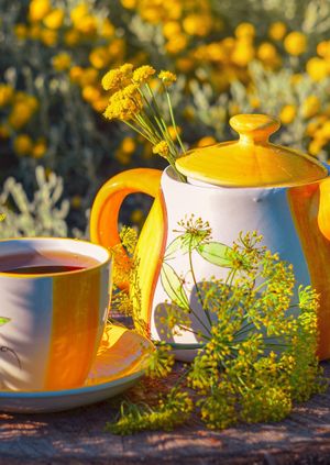 Southampton LiberTeas & Lattes