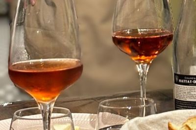 Weintasting - Eine Einführung