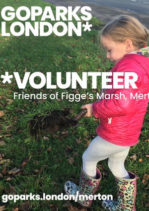 Safeguarding for friends groups