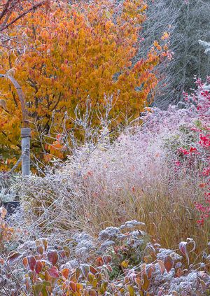 The Winter Garden with Richard Barnes