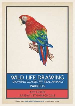 Wild Life Drawing: Parrots