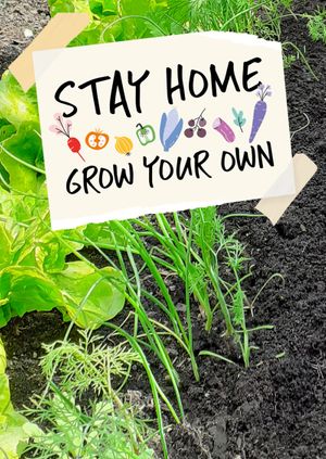 Stay Home Grow your Own