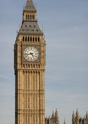 London Young Liberals  Tour Of Parliament 