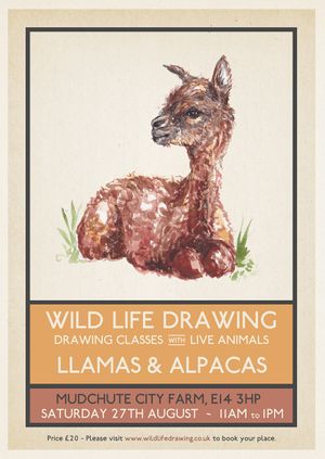 Wild Life Drawing: Llamas & Alpacas