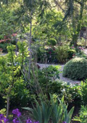 Charles Chesshire: The Art of Dishevelment