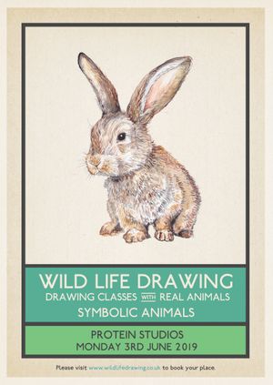Wild Life Drawing: Symbolic Animals