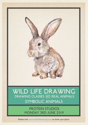 Wild Life Drawing: Symbolic Animals