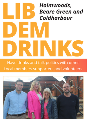 Holmwoods, Beare Green, Coldharbour and Fetcham Lib Dem Drinks