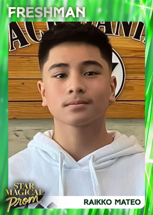 RAIKKO MATEO
