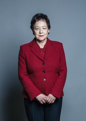 Bad Laws: How Lib Dem peers are fighting back - An evening with Sarah Ludford