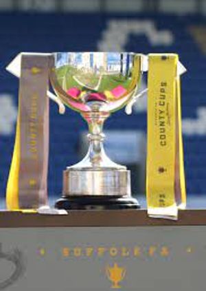 Barton Mills v Gardeners Arms - Best Badges Suffolk Sunday Trophy FINAL