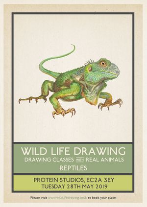 Wild Life Drawing: Reptiles