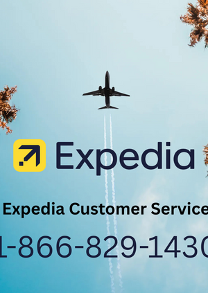 Ways to Call Expedia Customer Service By Phone, Email and Chat Options: Step-by-Step Guide
