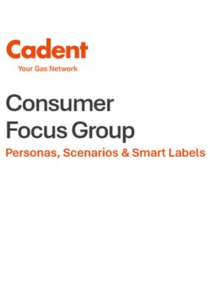 Battery Powered Gas odorant detector - follow-up focus group (UK members)