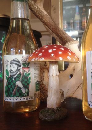 What's Your Poison? with The Foragers