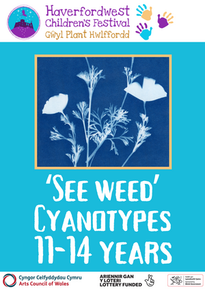 ‘See weed’ cyanotypes 11-14 years