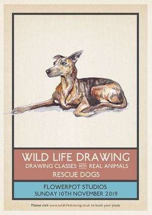Wild Life Drawing: Rescue Dogs