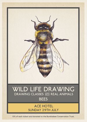 Wild Life Drawing: Bees