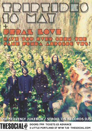 Triptides, Feral Love + Have You Ever Seen the Jane Fonda Aerobic Vhs?