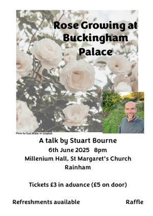 Rose Growing at Buckingham Palace