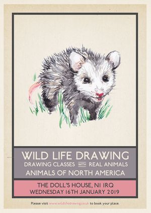 Wild Life Drawing: Animals of North America
