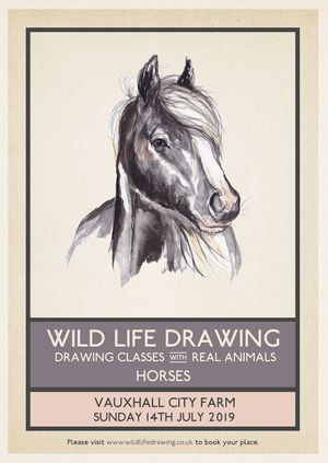 Wild Life Drawing: Horses