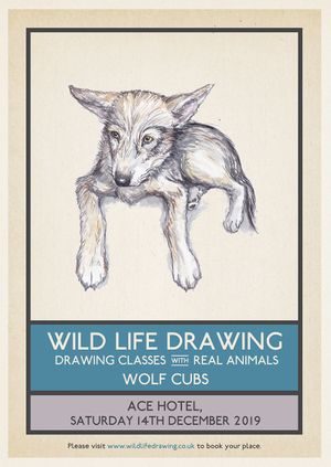 Wild Life Drawing: Wolf Cubs