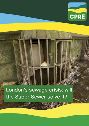 London's sewage crisis: will the Super Sewer solve it?