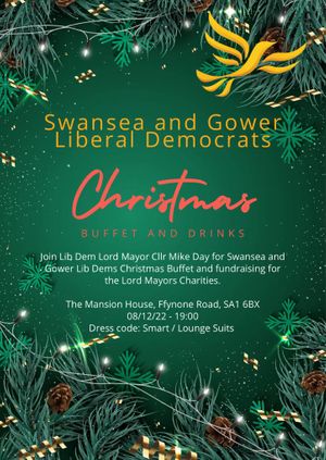Swansea and Gower Liberal Democrats Christmas Party