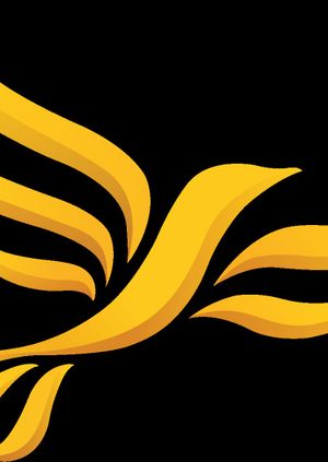 Elmbridge Lib Dem AGM