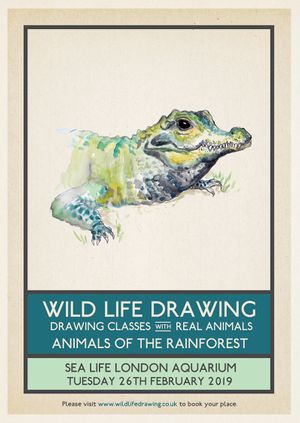 Wild Life Drawing: Animals of the Rainforest