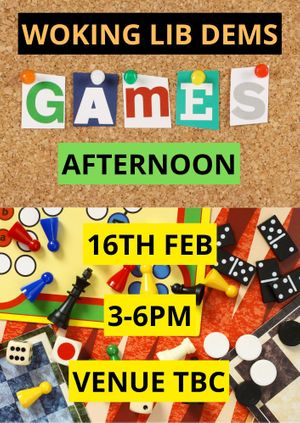 Woking Lib Dems Games Afternoon