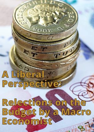 Liberal Perspective: Reflections on the Budget by a Macro Economist