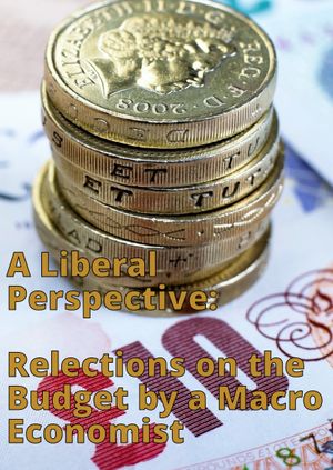 Liberal Perspective: Relections on the Budget by a Macro Economist