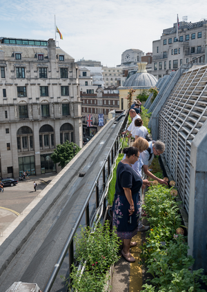 London Open Gardens 2023