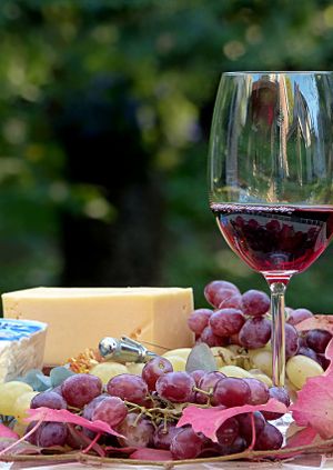 Cheese and Wine Tasting Evening