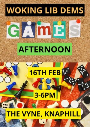 Woking Lib Dems Games Afternoon