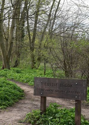 Tree Identification study visit