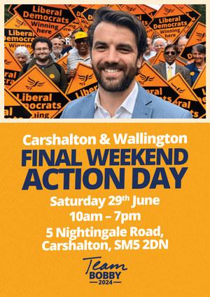 Carshalton and Wallington Action Day - Saturday 29th June