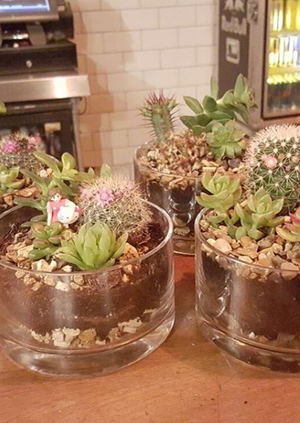 Neverland Terrarium Workshop