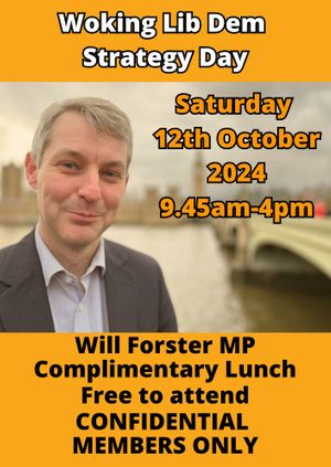 Woking Lib Dem Strategy Day