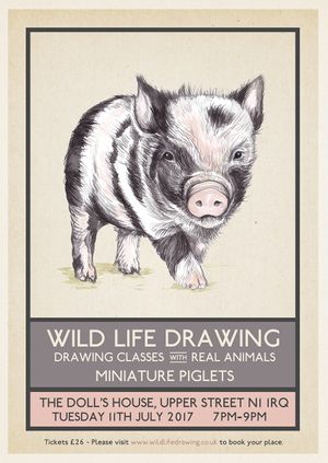 Wild Life Drawing: Miniature Piglets