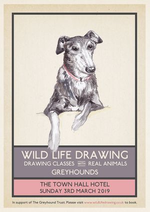 Wild Life Drawing: Greyhounds