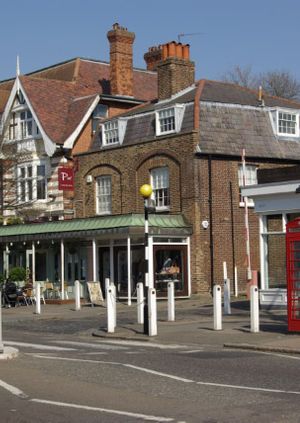 Dulwich Village Action Morning