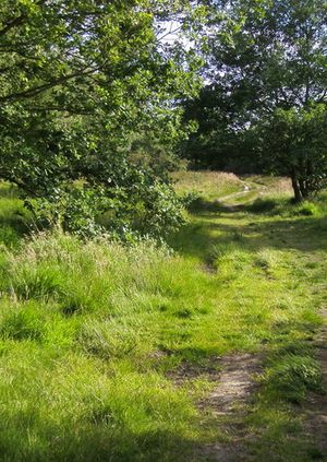 Historical Walk on Wimbledon Common