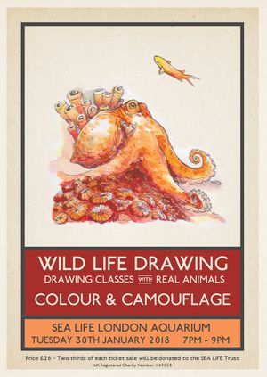 Wild Life Drawing: Colour & Camouflage – Watercolour Special