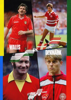 Euros Warehouse: Wales vs Denmark - Final 16
